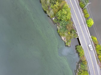 Harmful algal bloom conditions in the Wallkill watershed