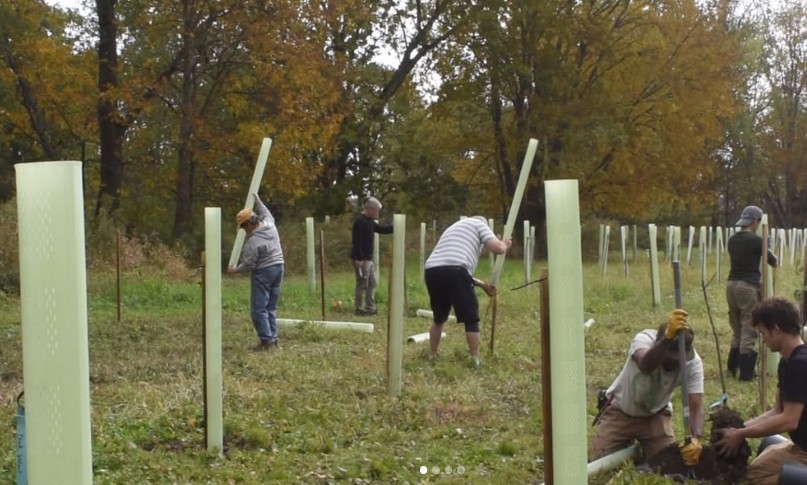 WRWA volunteers planting trees along the Wallkill River