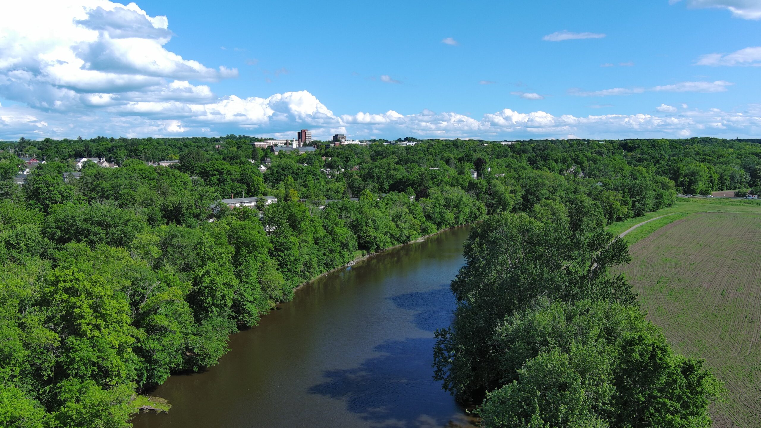 New Paltz Regatta banner image