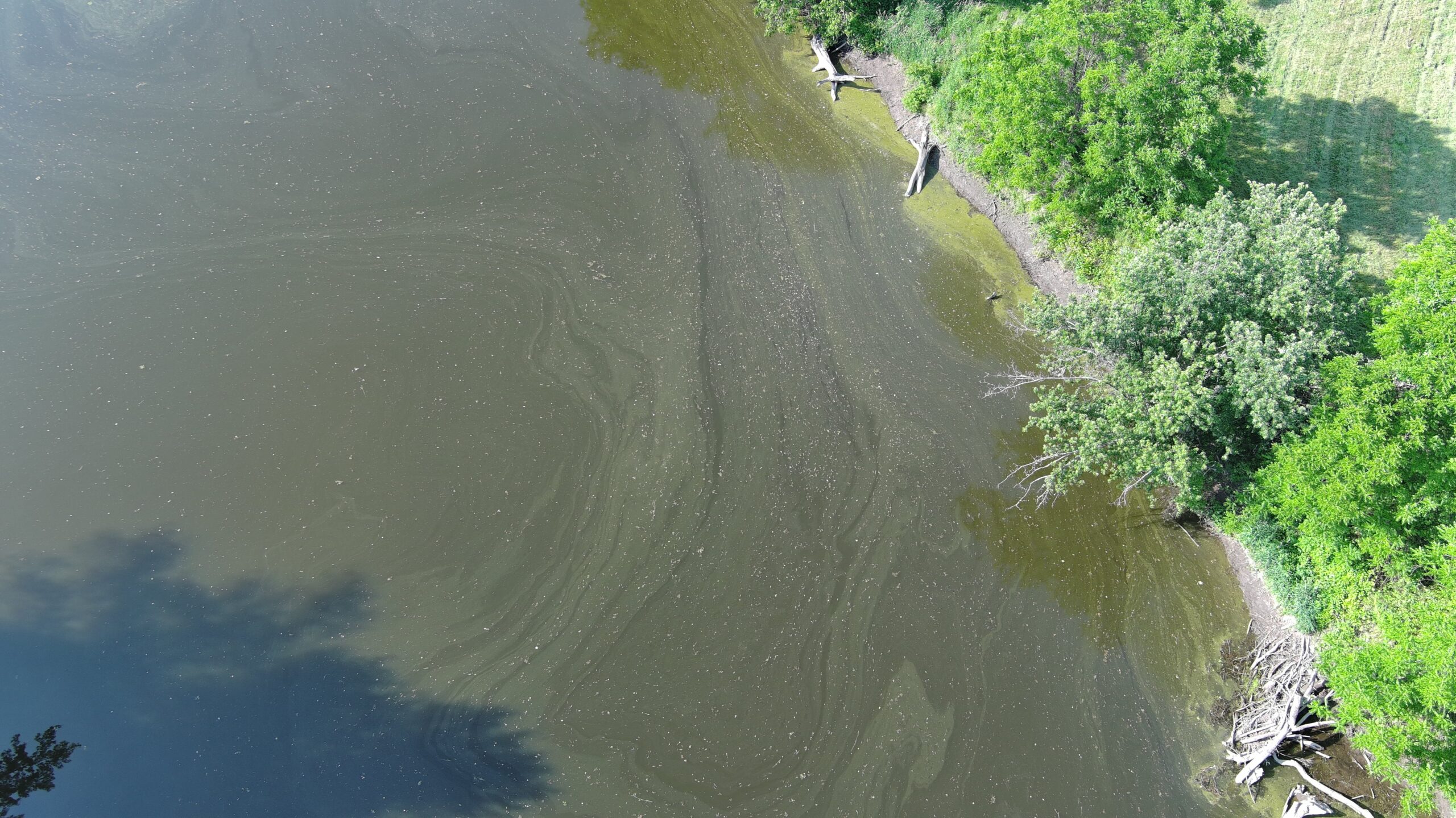 Wallkill River HAB field report photo